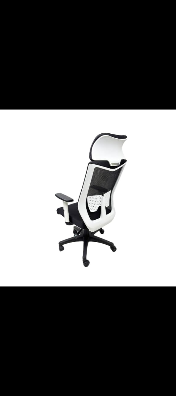 The Pro-Series Mesh Executive Chair