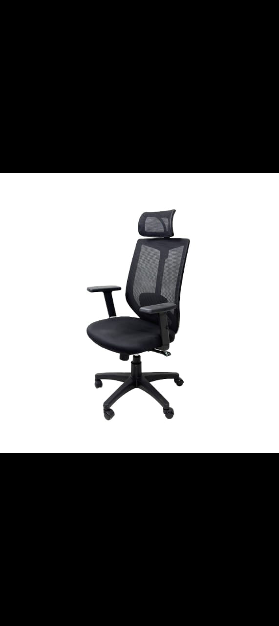 "Ergonomic Mesh Office Chair with Adjustable Headrest and Lumbar Support - Black"